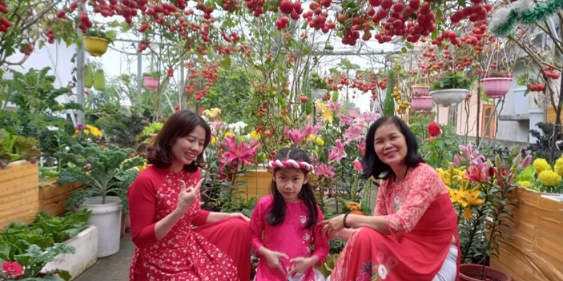Chuẩn bị dụng cụ và đất trồng