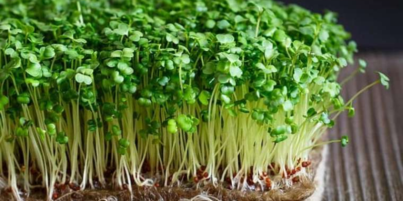 Chuẩn bị nguyên liệu và dụng cụ cần thiết